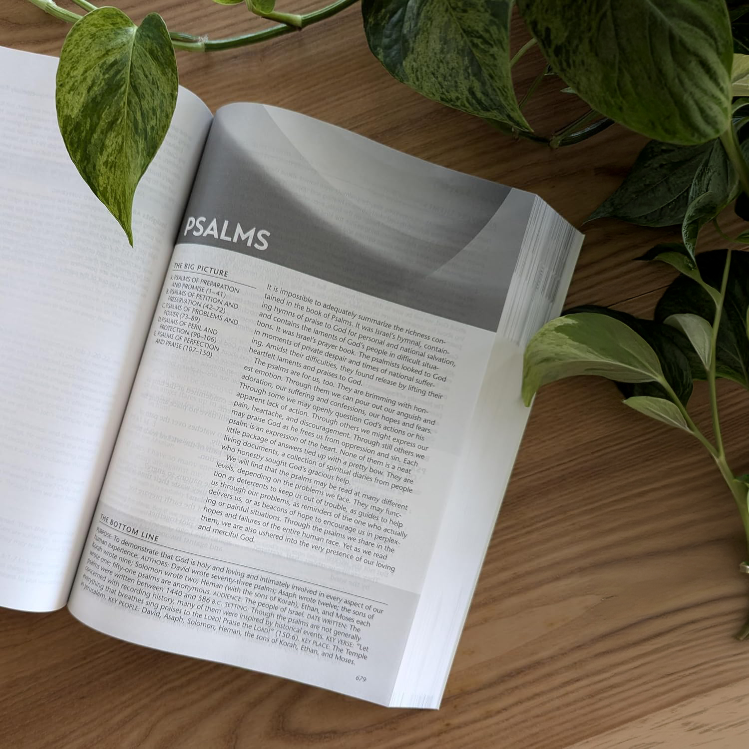 NLT Life Recovery Bible - 3 Sizes - Softcover - Image 3