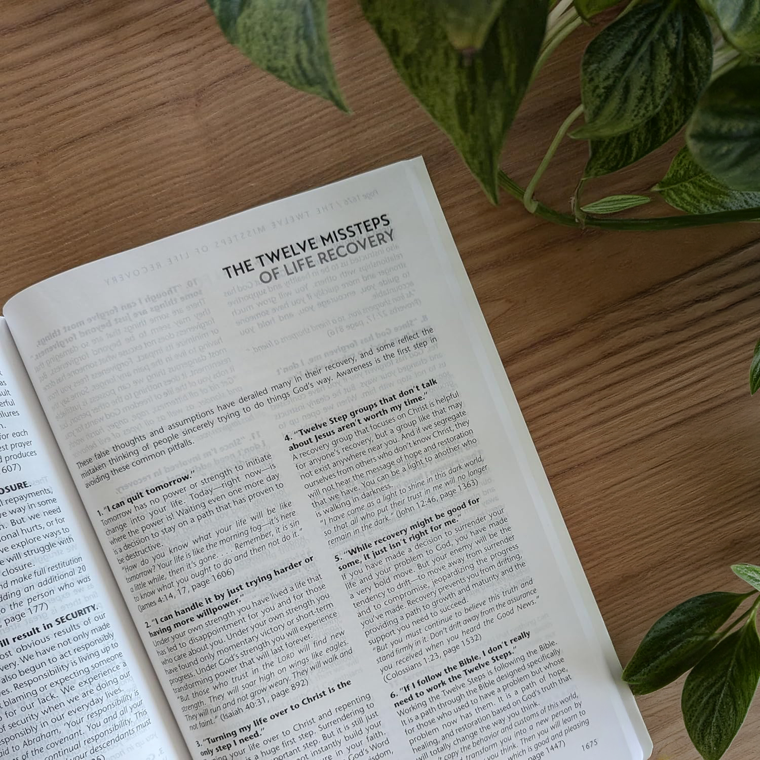 NLT Life Recovery Bible - 3 Sizes - Softcover - Image 7