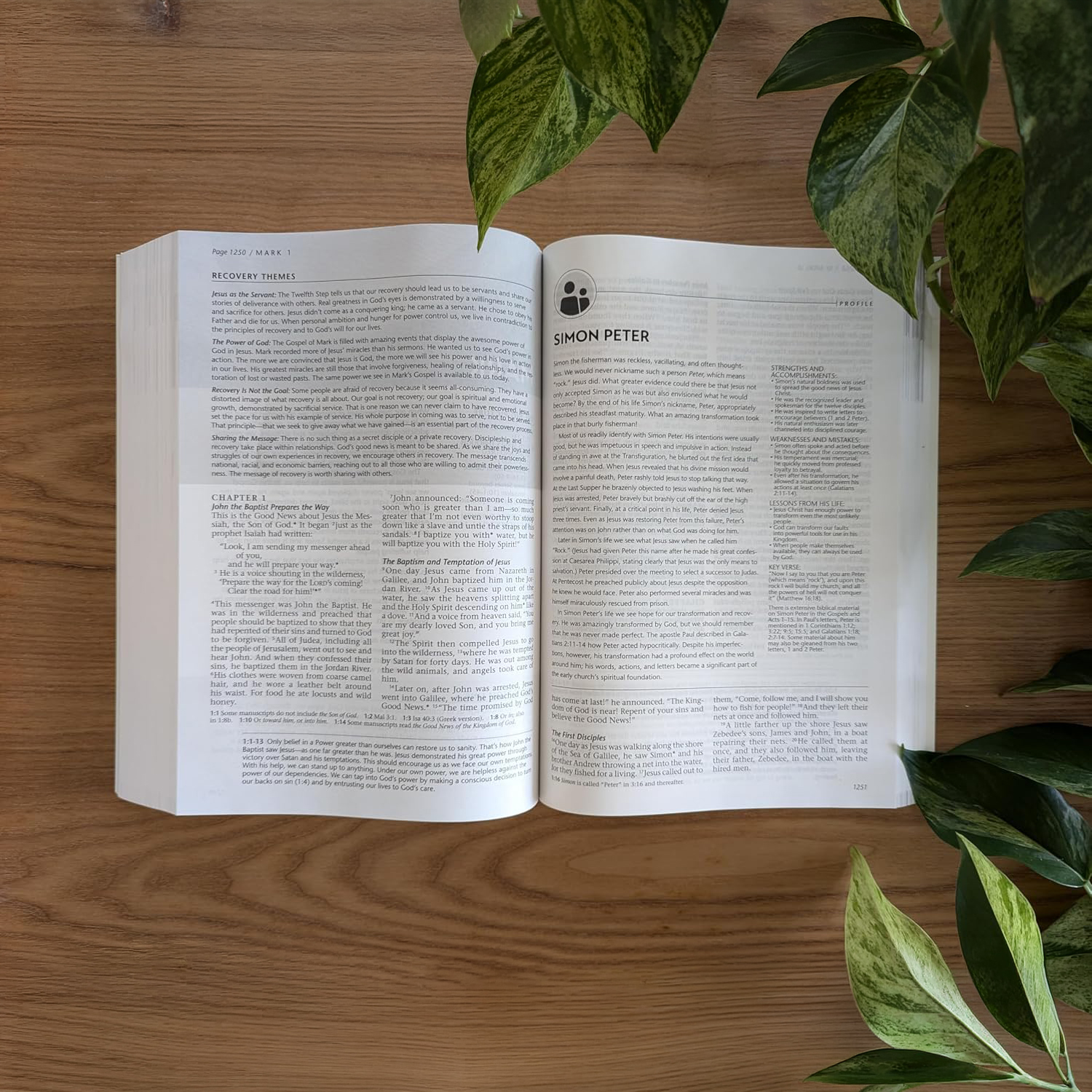 NLT Life Recovery Bible - 3 Sizes - Softcover - Image 5