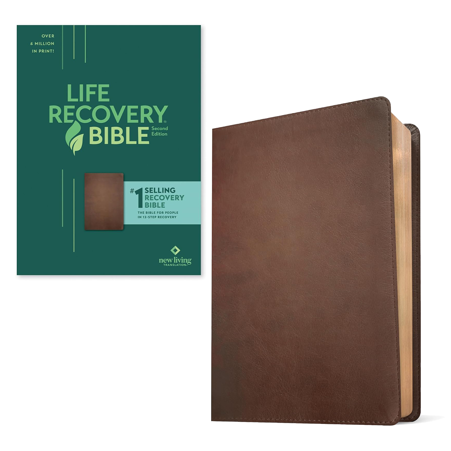 NLT Life Recovery Bible – Rustic Brown – Flexcover