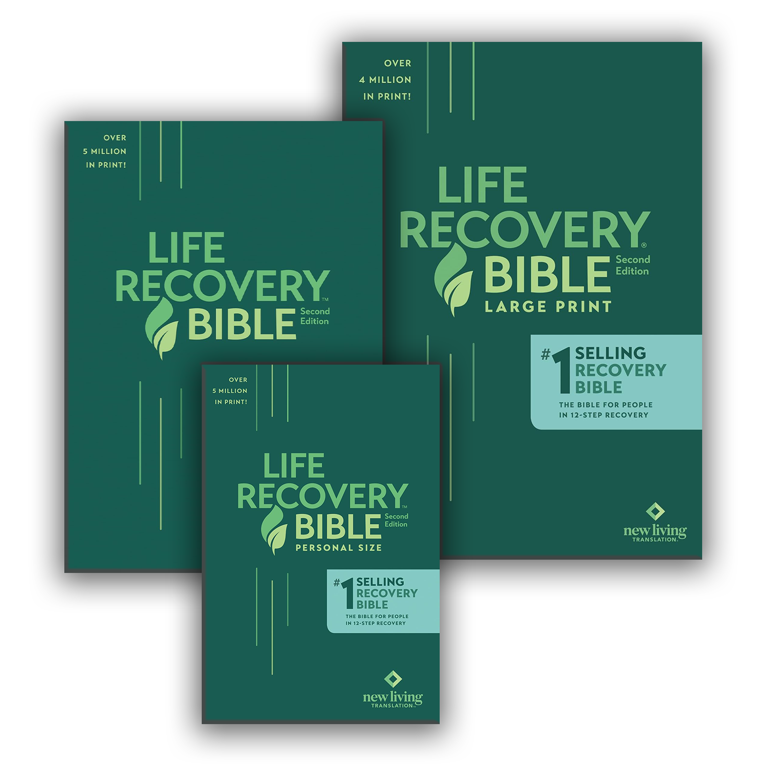 NLT Life Recovery Bible - 3 Sizes - Softcover