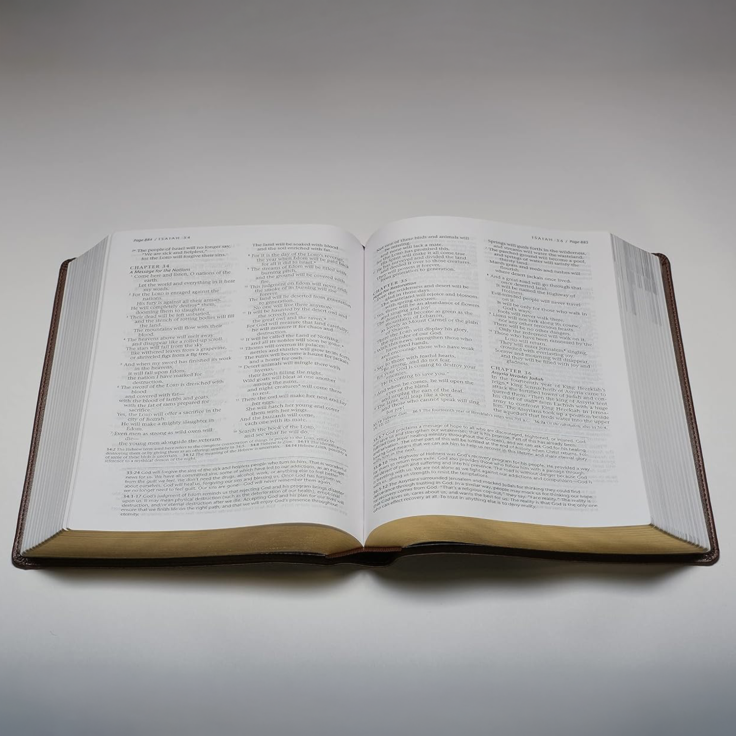 NLT Life Recovery Bible – Rustic Brown – Flexcover - Image 6