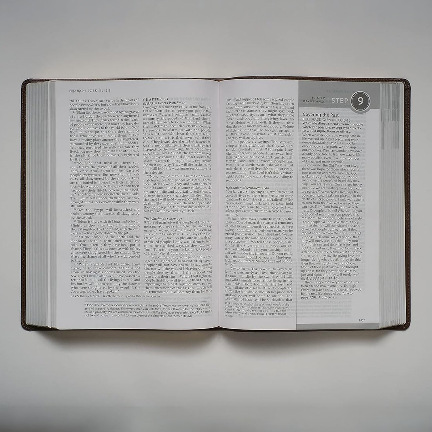 NLT Life Recovery Bible – Rustic Brown – Flexcover - Image 4